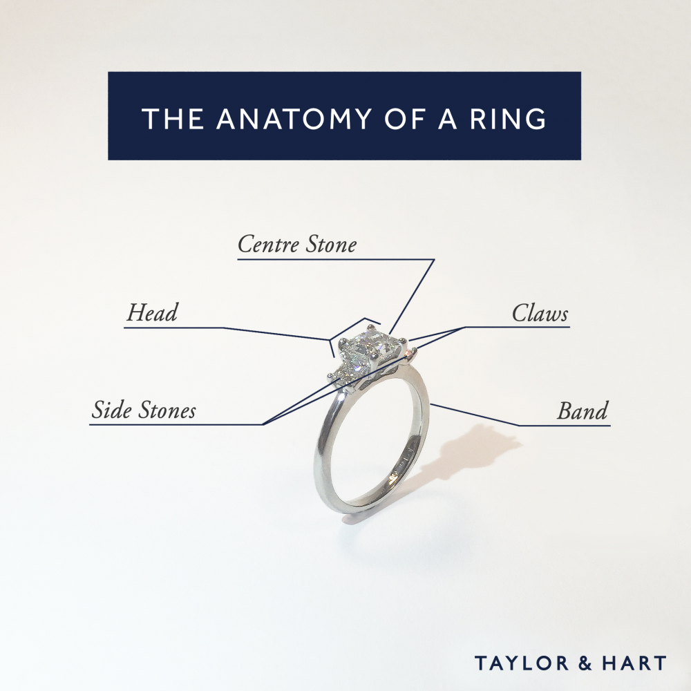 Parts Of A Ring Diagram